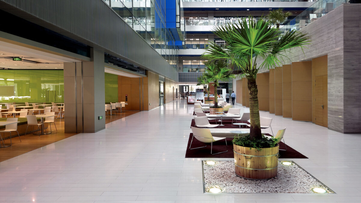 plants and view of canteen