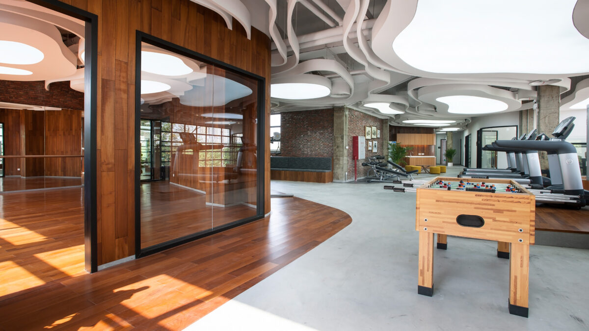 recreation area with gym and games