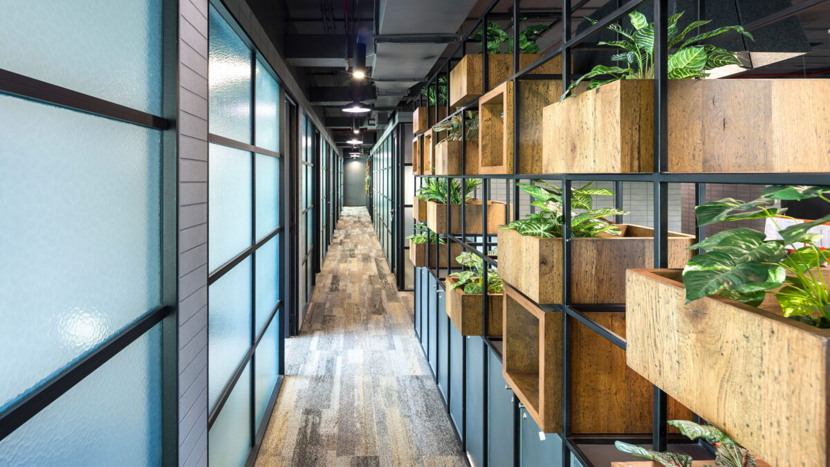 corridor with plants and lighting