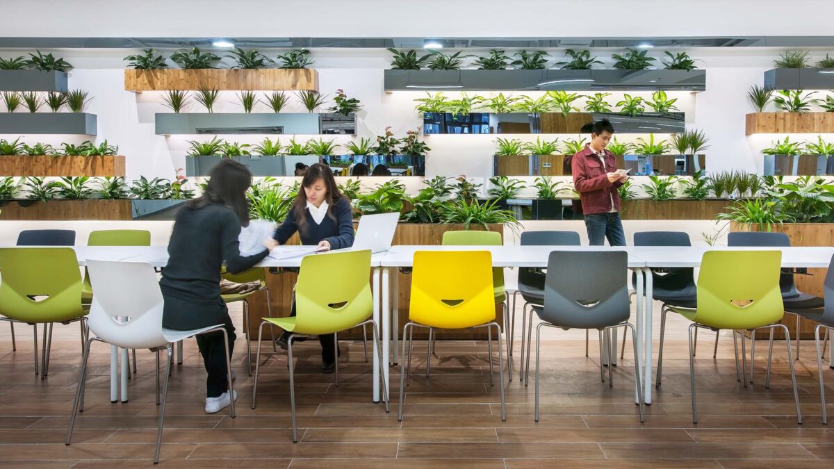 office workplace design