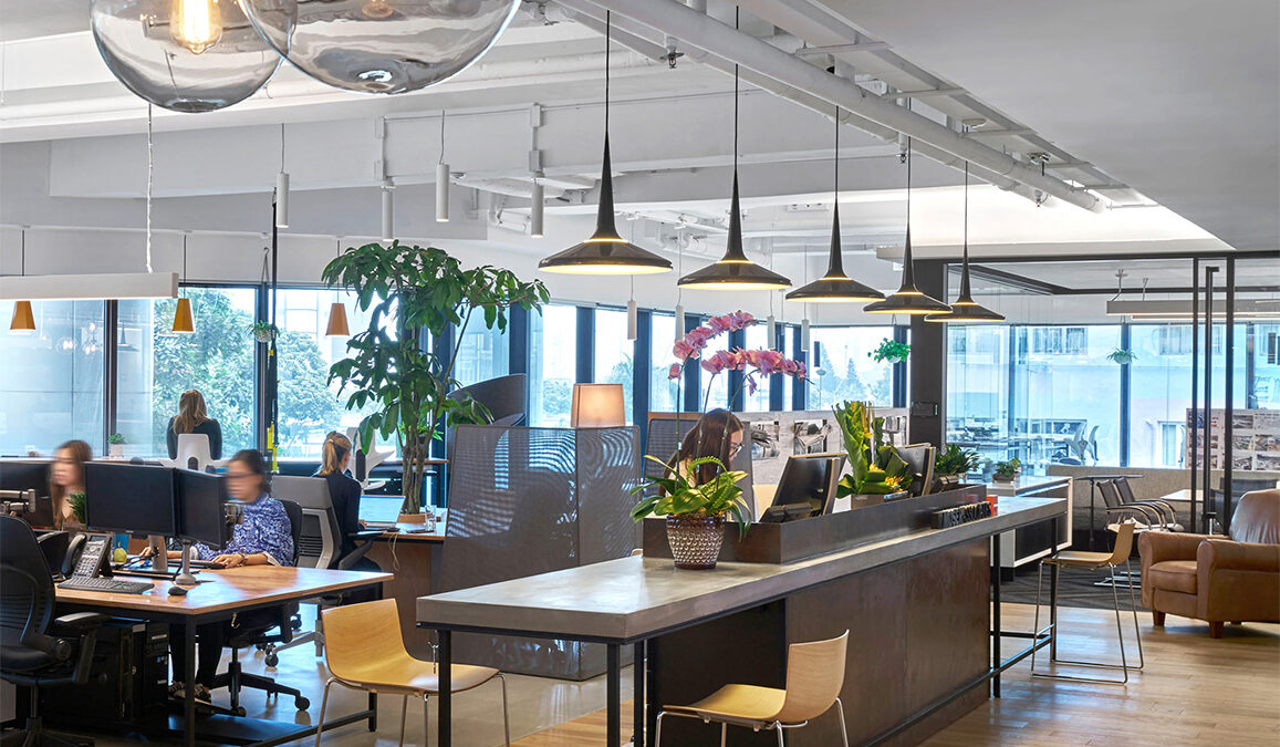 Woman working at desk in open plan office