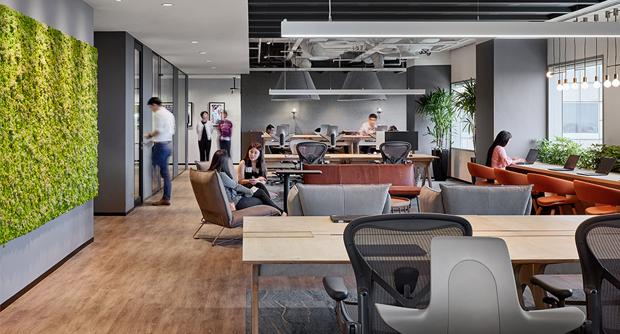 open office with desks and plants