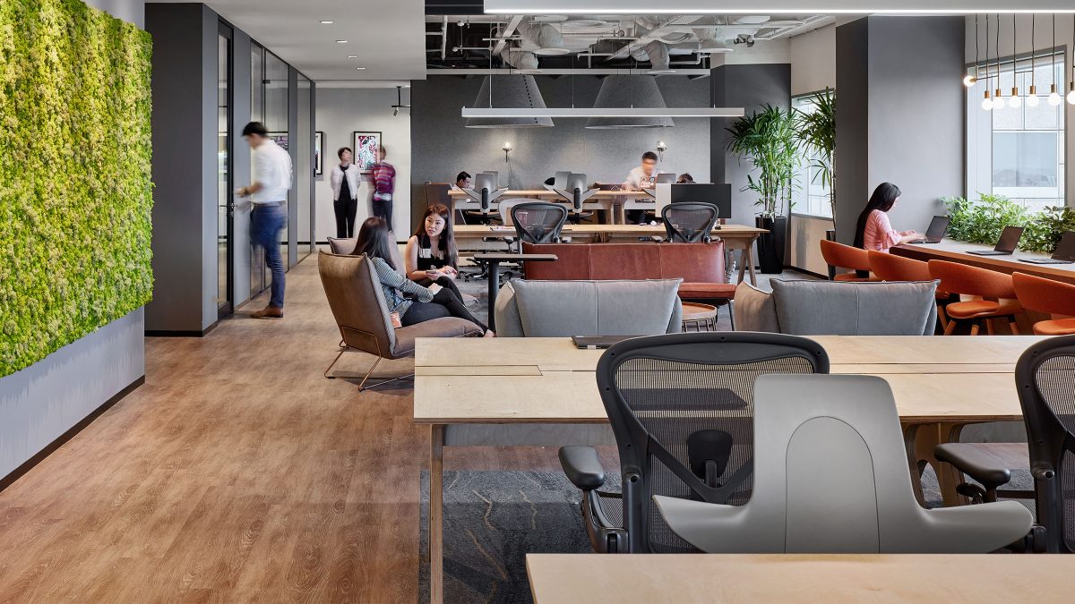 open office with desks and plants