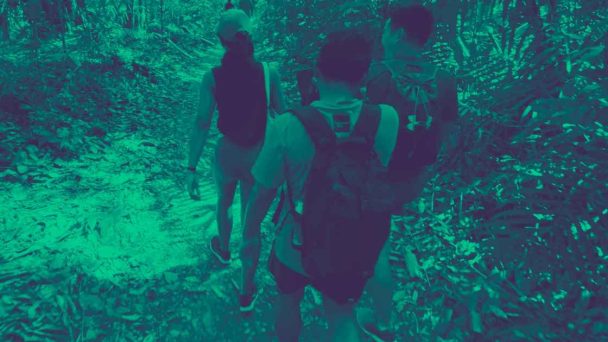 people trekking for charity