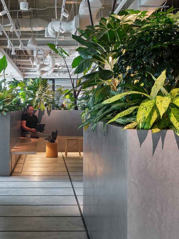 office-workplace-design