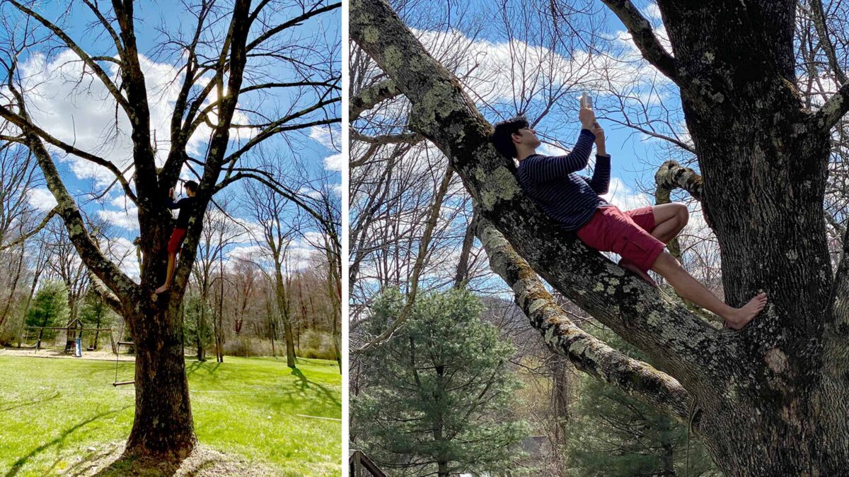 Man outdoor in park