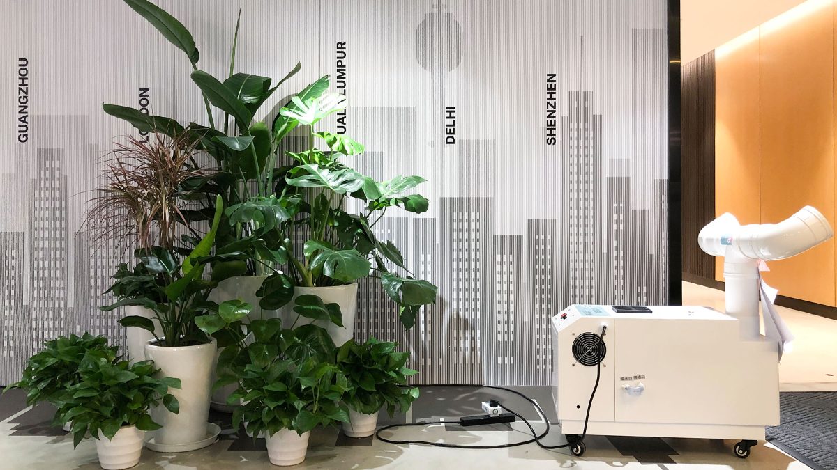 green office design ideas