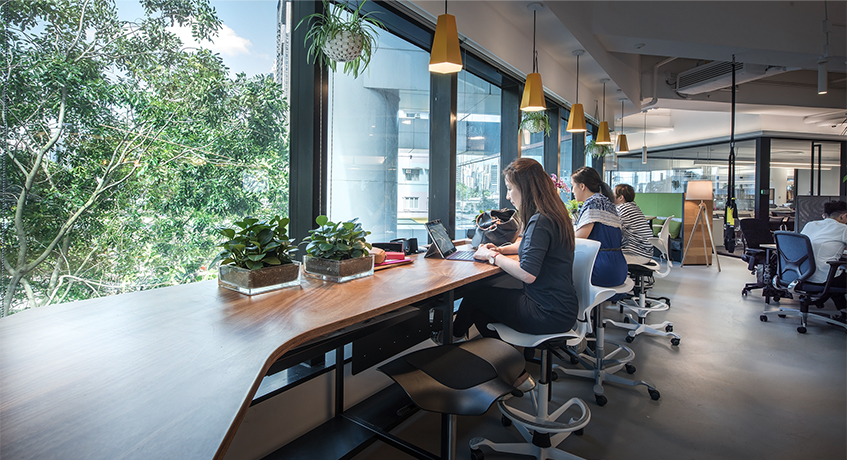 women working at desks