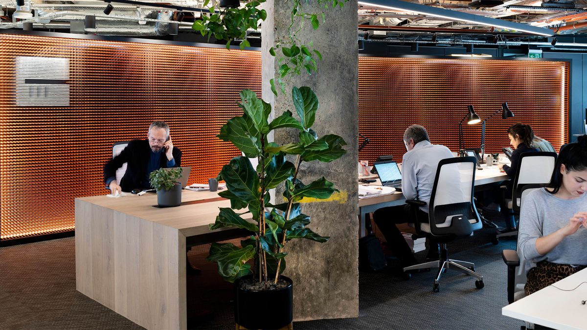 M Moser - Londres - lieu de travail - plantes - bureau