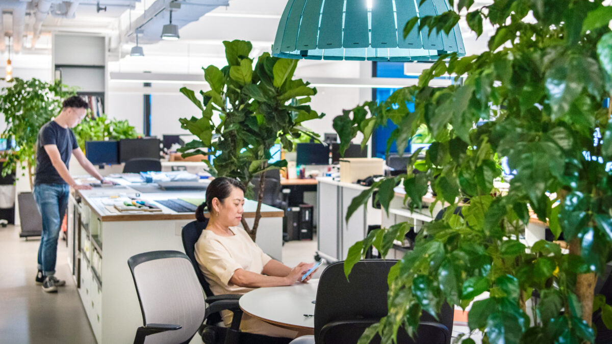 mmoser-hong-kong-interior-plants