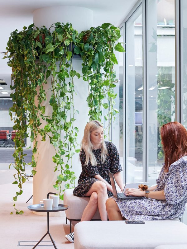 bureau technique-plantes-salon