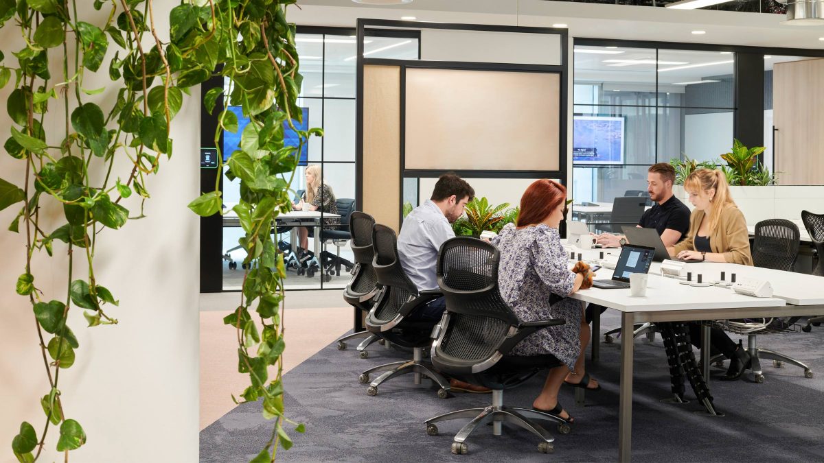 open plan workspace greenery