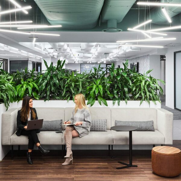 green office design ideas