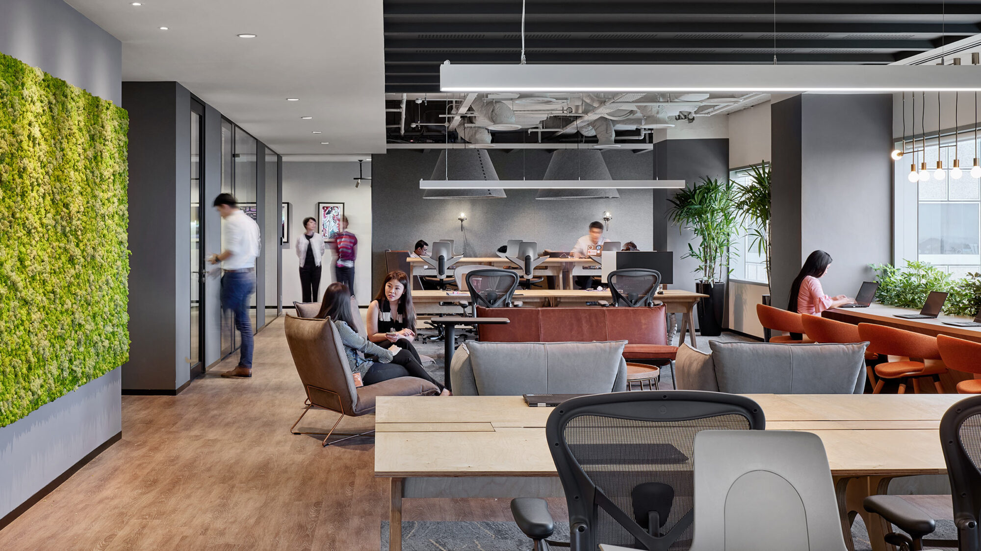 green wall in open workspace