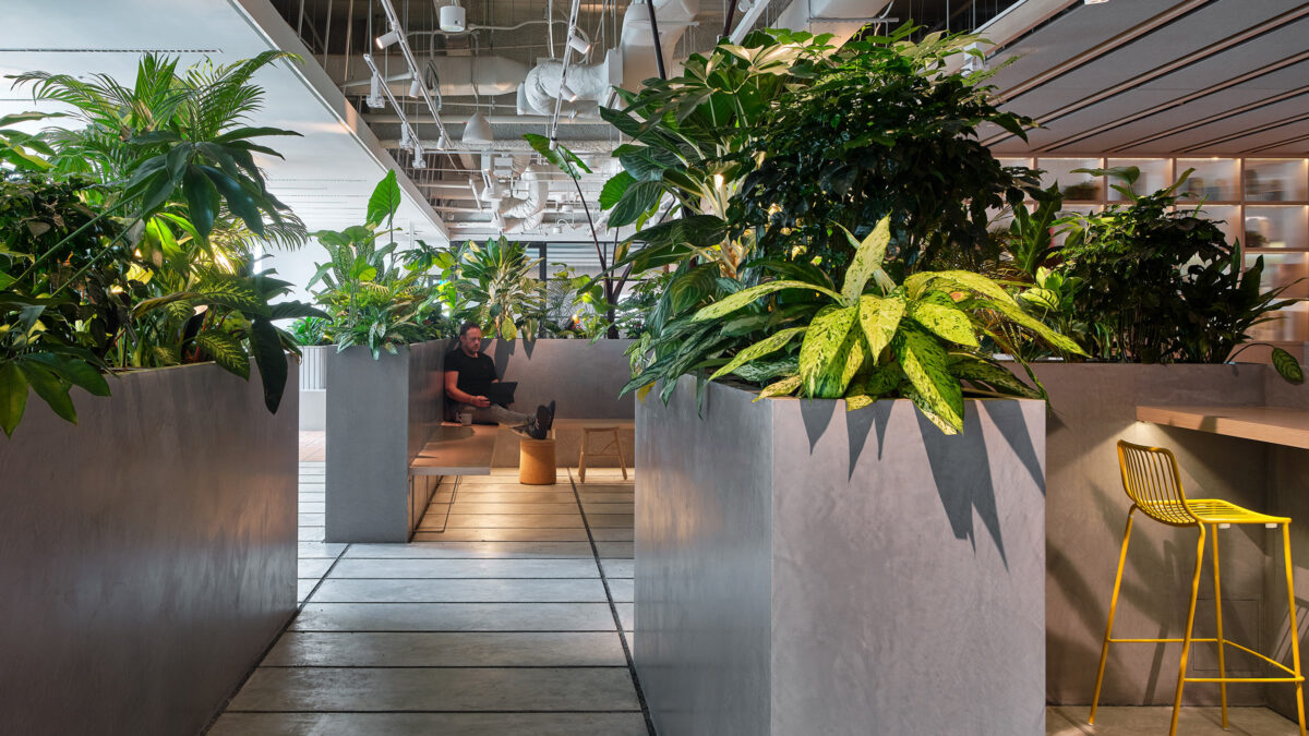 quiet working in enclosed planting