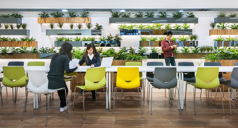 omen collaborating at desk surrounded by plants and man on phone