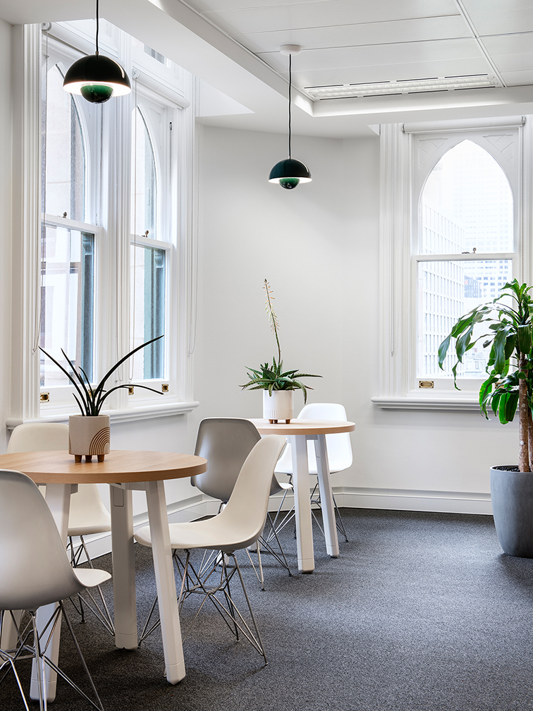 desks with plants