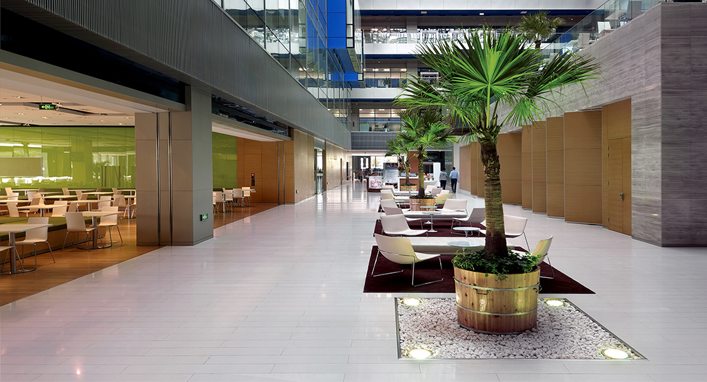 plants and view of canteen