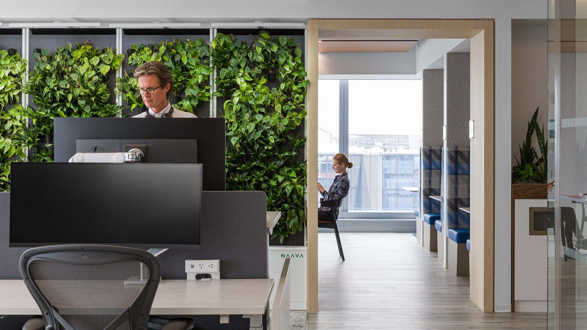 Workspace with green wall in LEED accredited sustainable space in New York