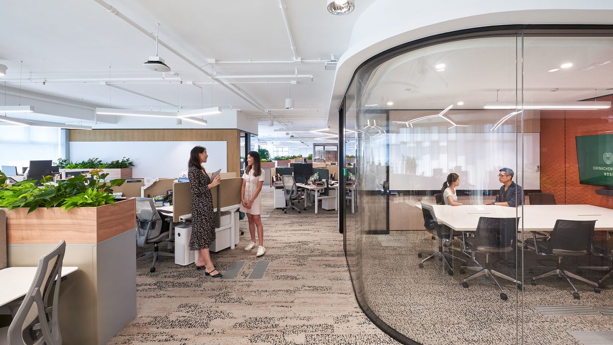 Conference room glass walls 