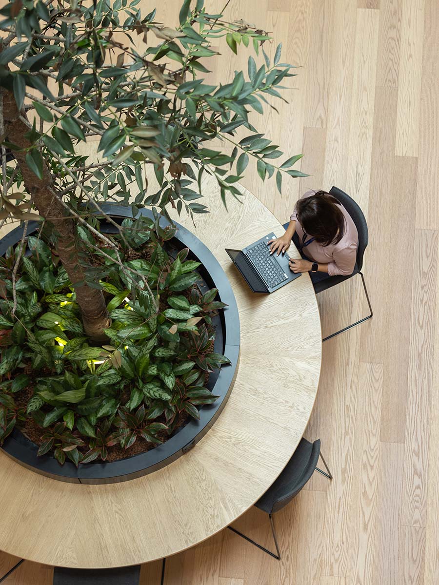 focus space on tree table