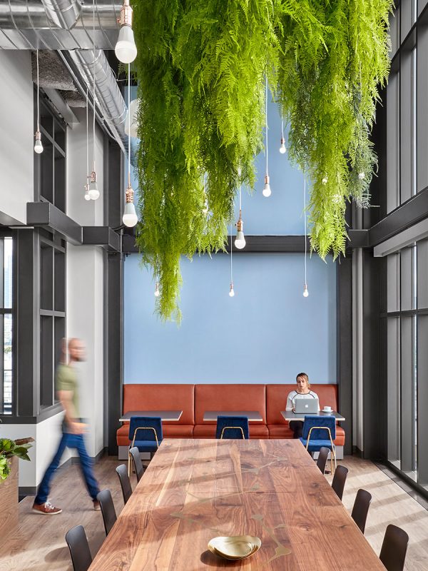 Architectural office design in San Francisco for M Moser features biophilia elements throughout cafes and seating areas.