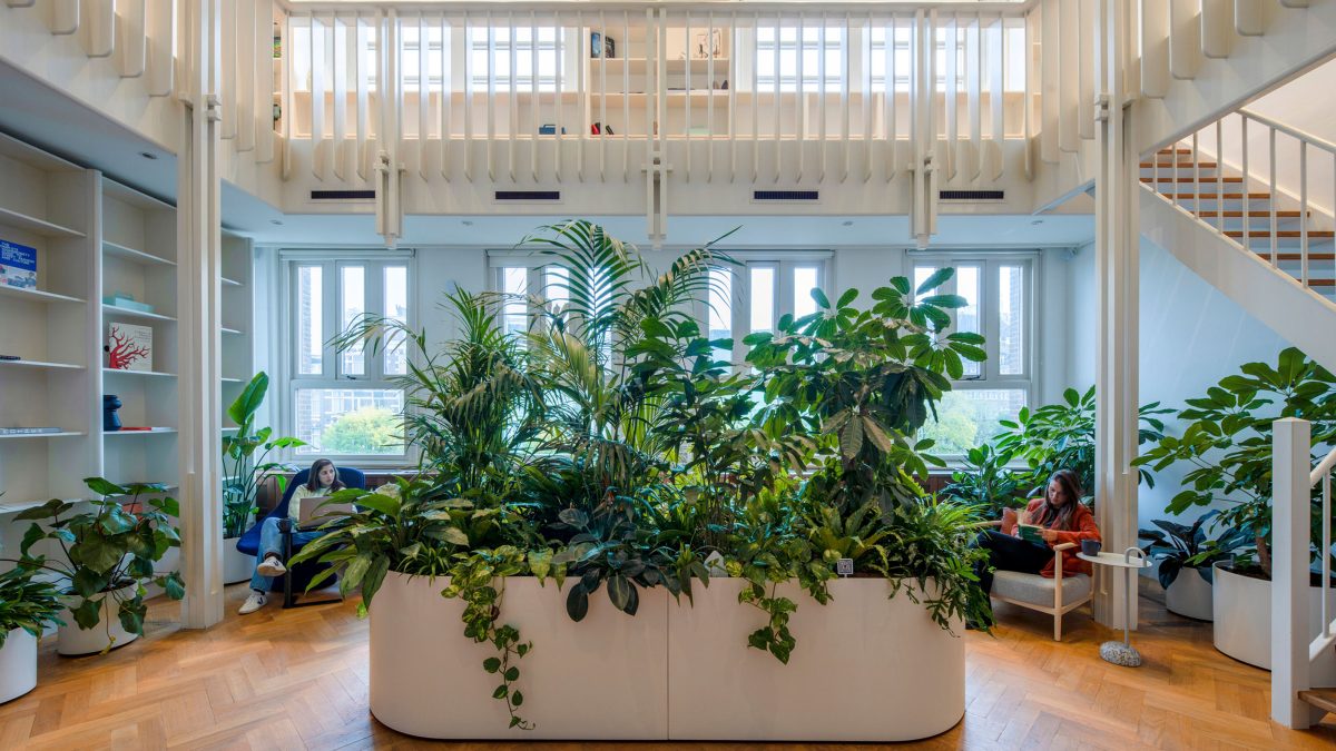 Botanical lounge, coworking space