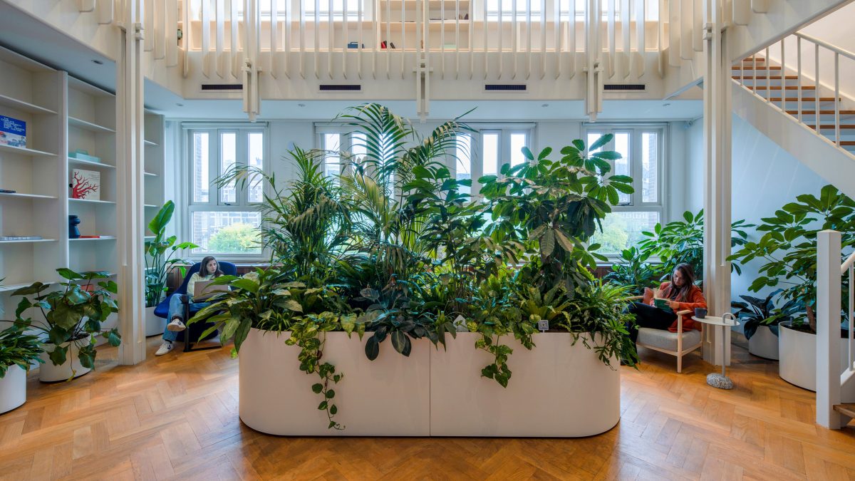 view of library focus space in a multi-sensory office design