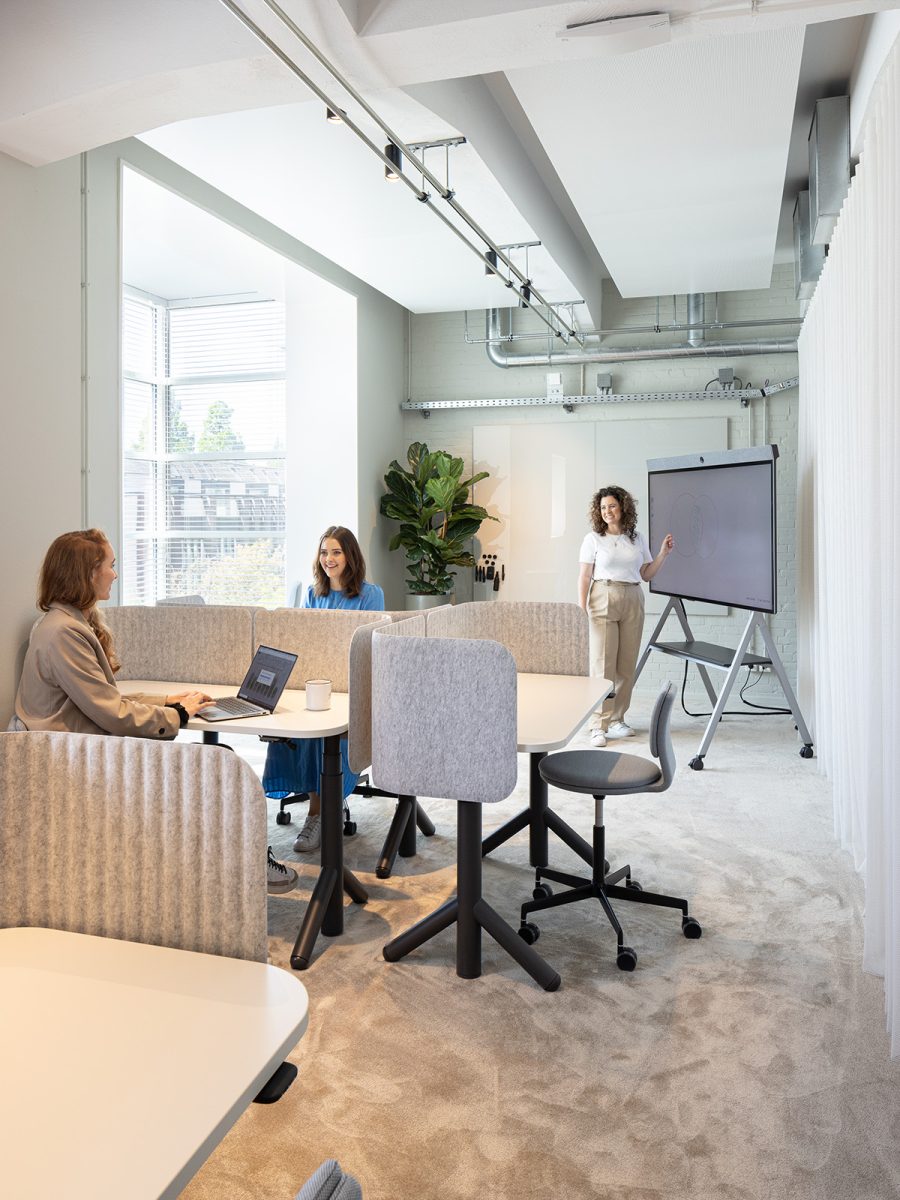 Calming focused workspace, with presentation screen