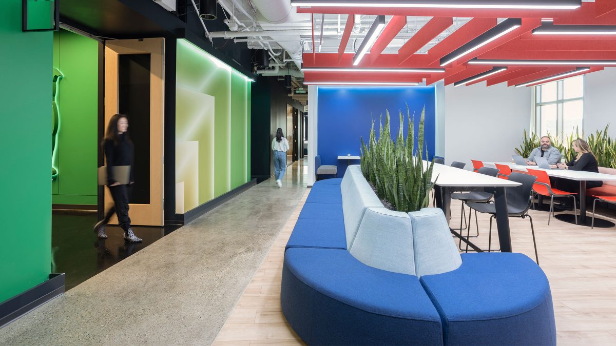 Colourful acoustic panelling and branded design for corporate office in California.