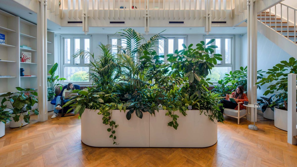 Miro Amsterdam, botanical lounge, coworking space