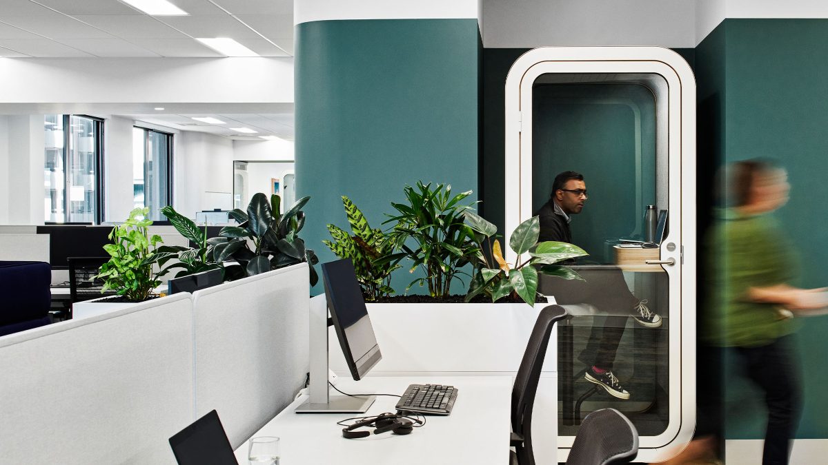 M Moser interior office in Australia