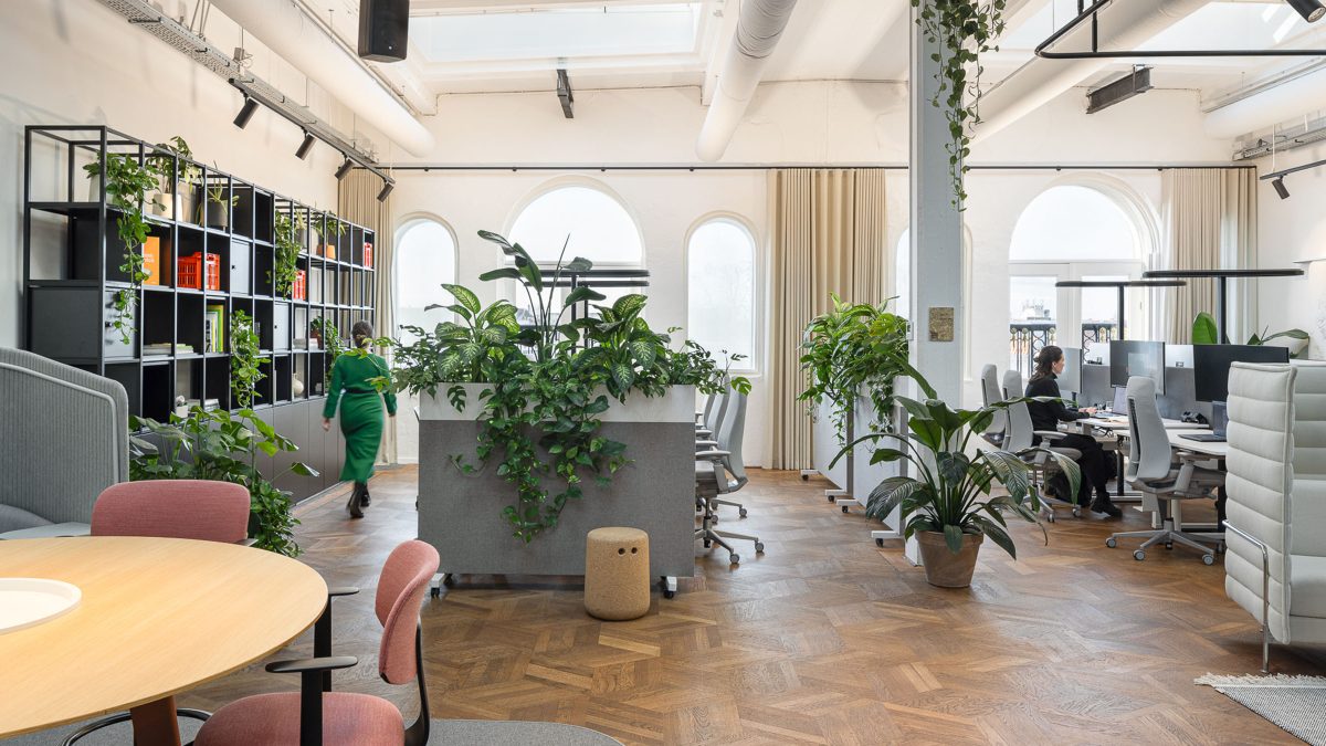 workstations-with-planting-in-light-open-setting-at-M-Moser-Amsterdam-studio