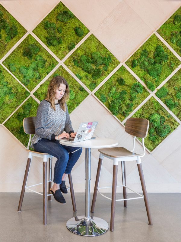 Sustainable building design and construction - green wall