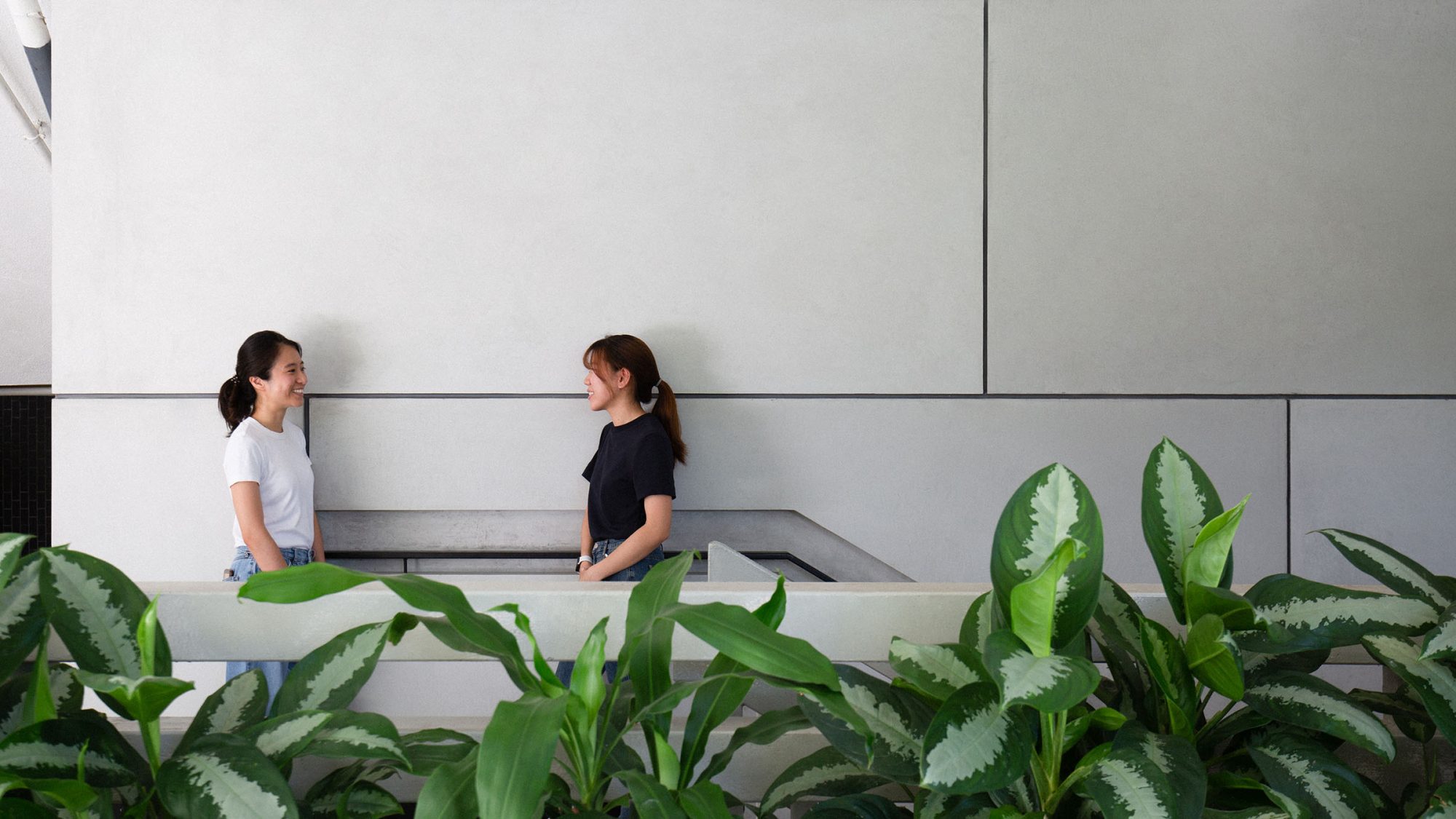 Principles of sustainable building design - school corridor