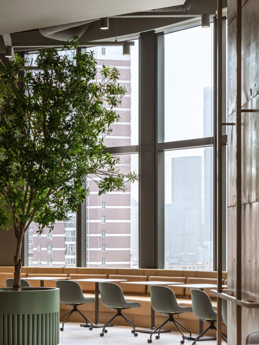 MMoser-London-Biophilic-Interior-Design-Natural-Light