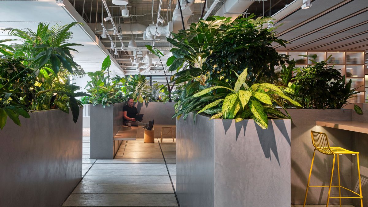 MMoser-London-Biophilic-Interior-Design-Office-Plant-Boxes
