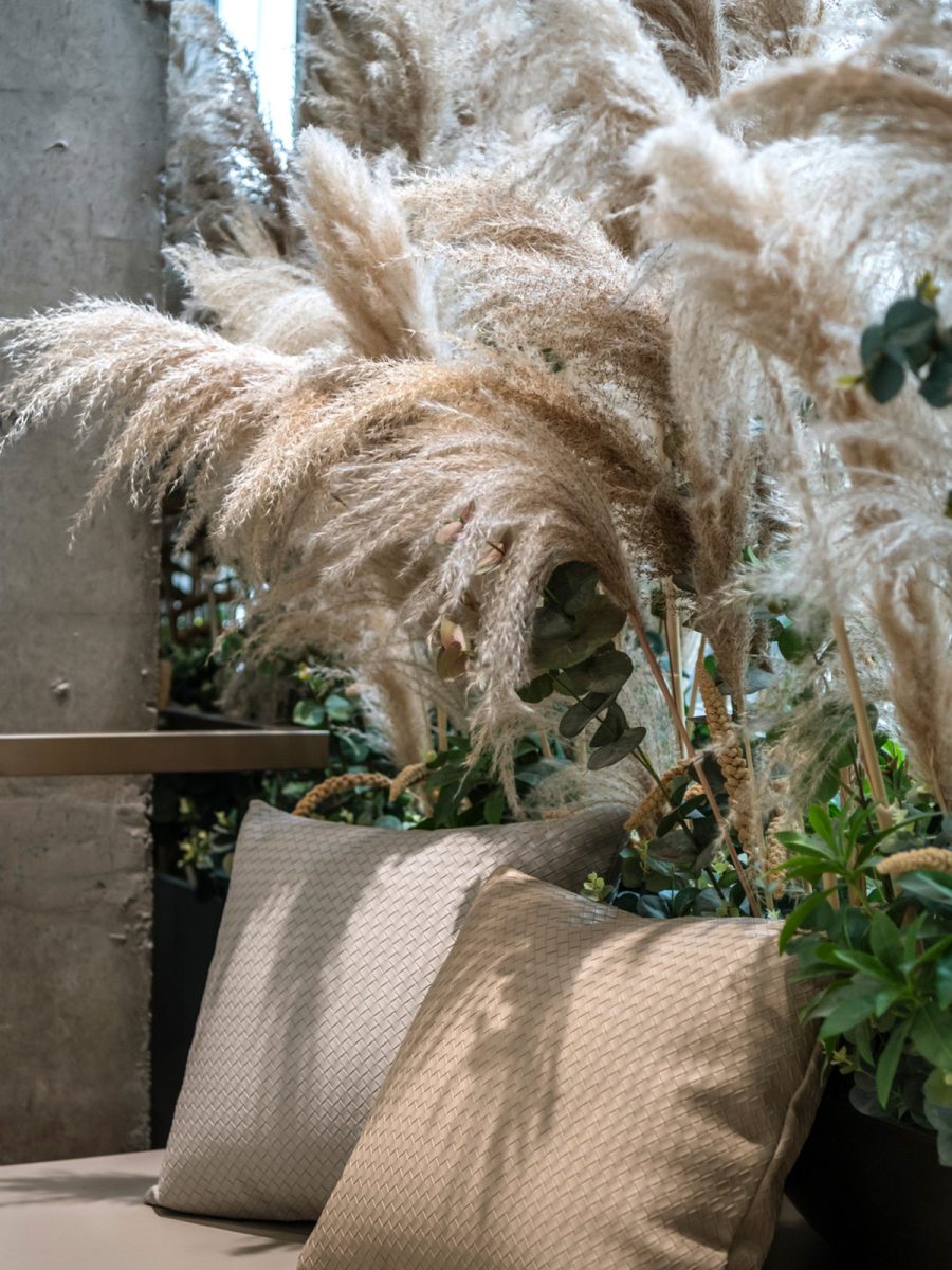MMoser-London-Biophilic-Interior-Design-Pampas-Grass