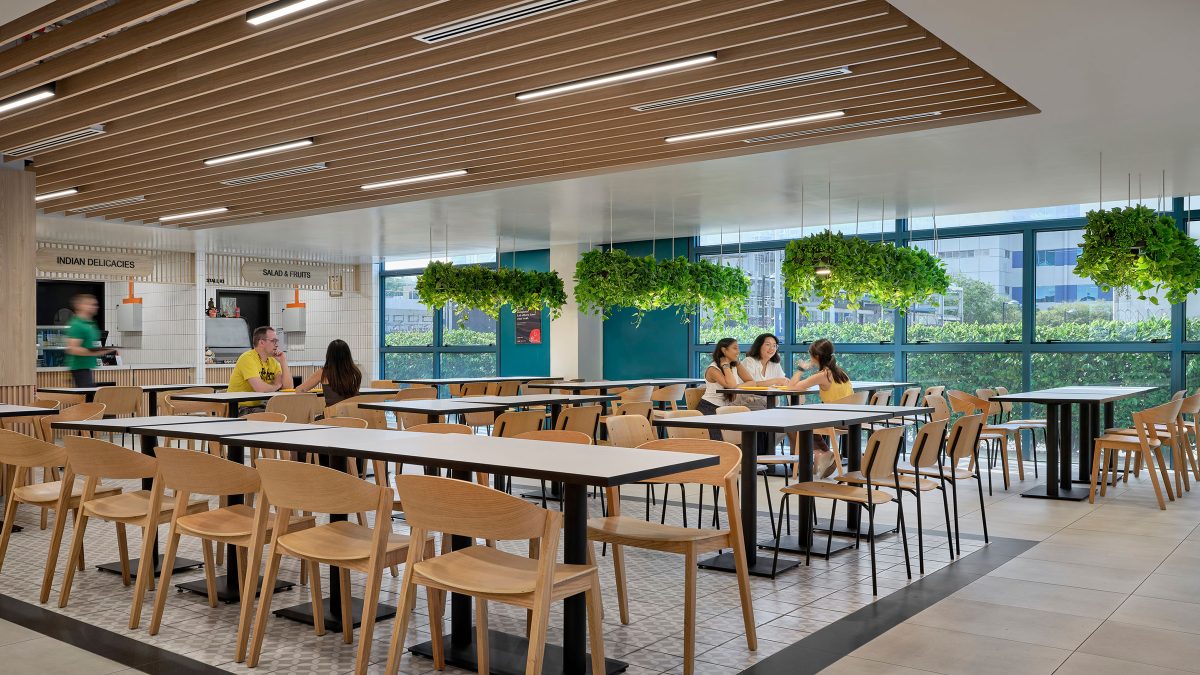 Plants and greenery in the workplace 