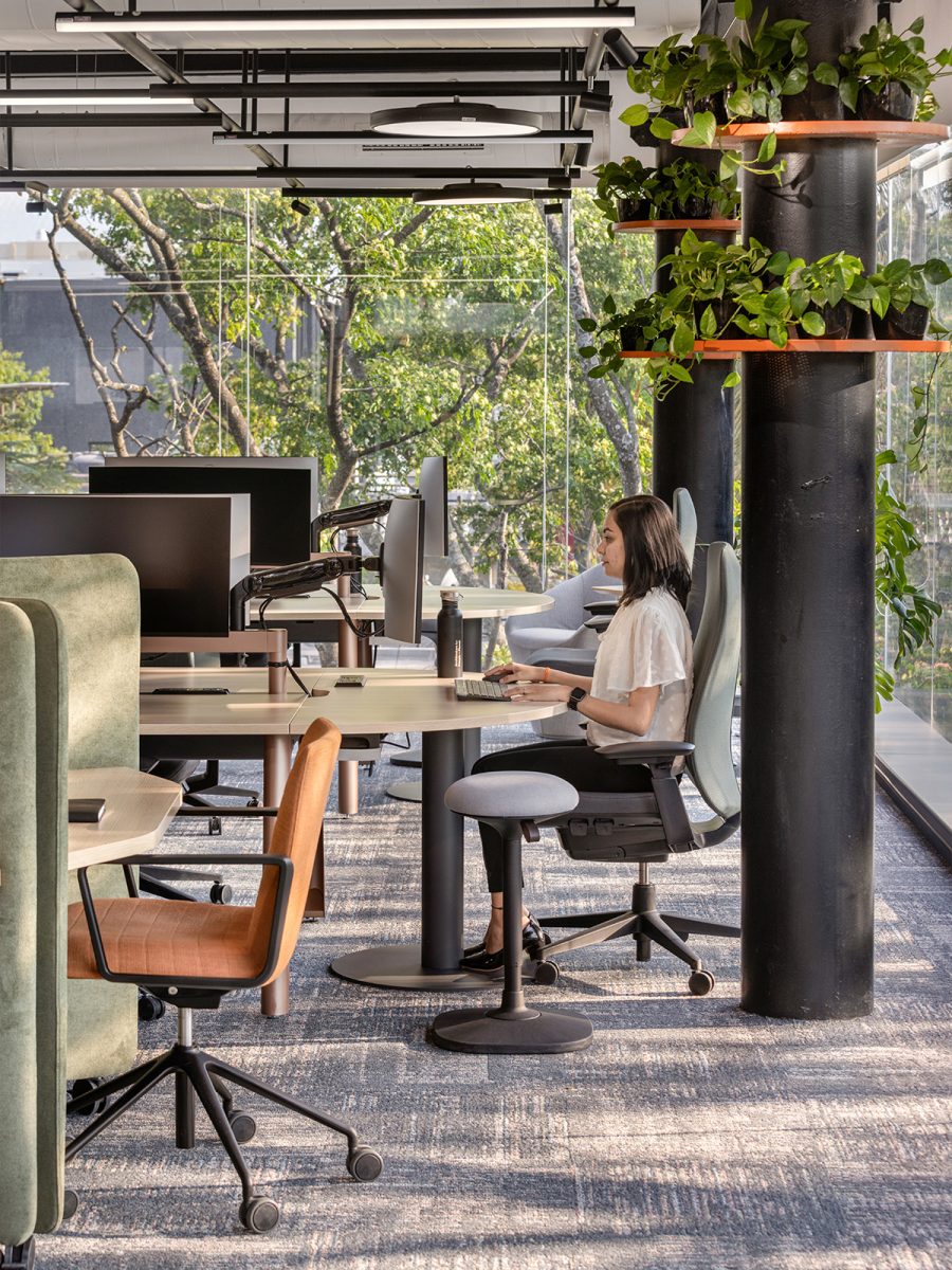 M Moser Bangalore living lab: open office ensures daylight access for all