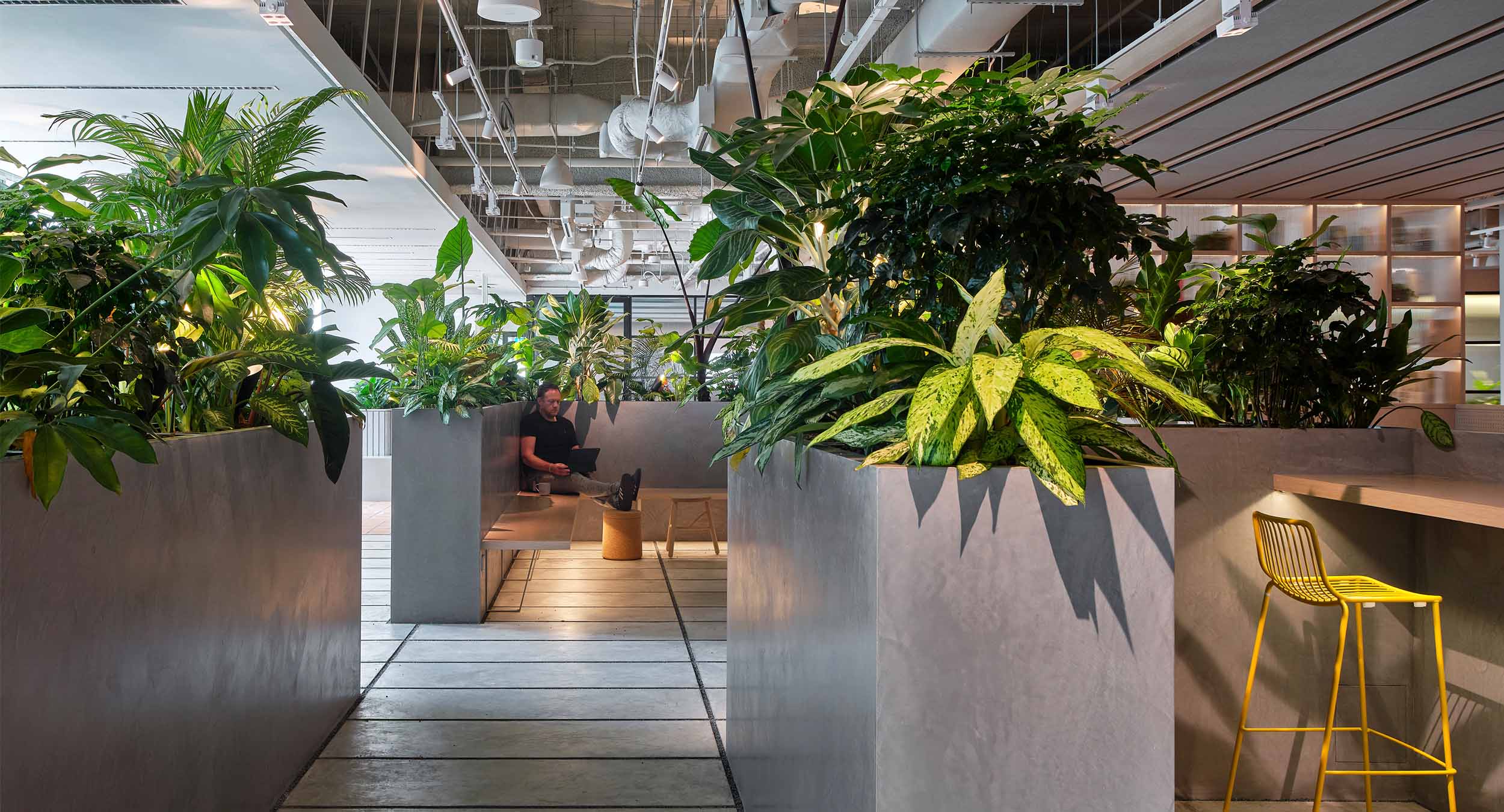 Exploring biophilic design for New York offices | M Moser Associates