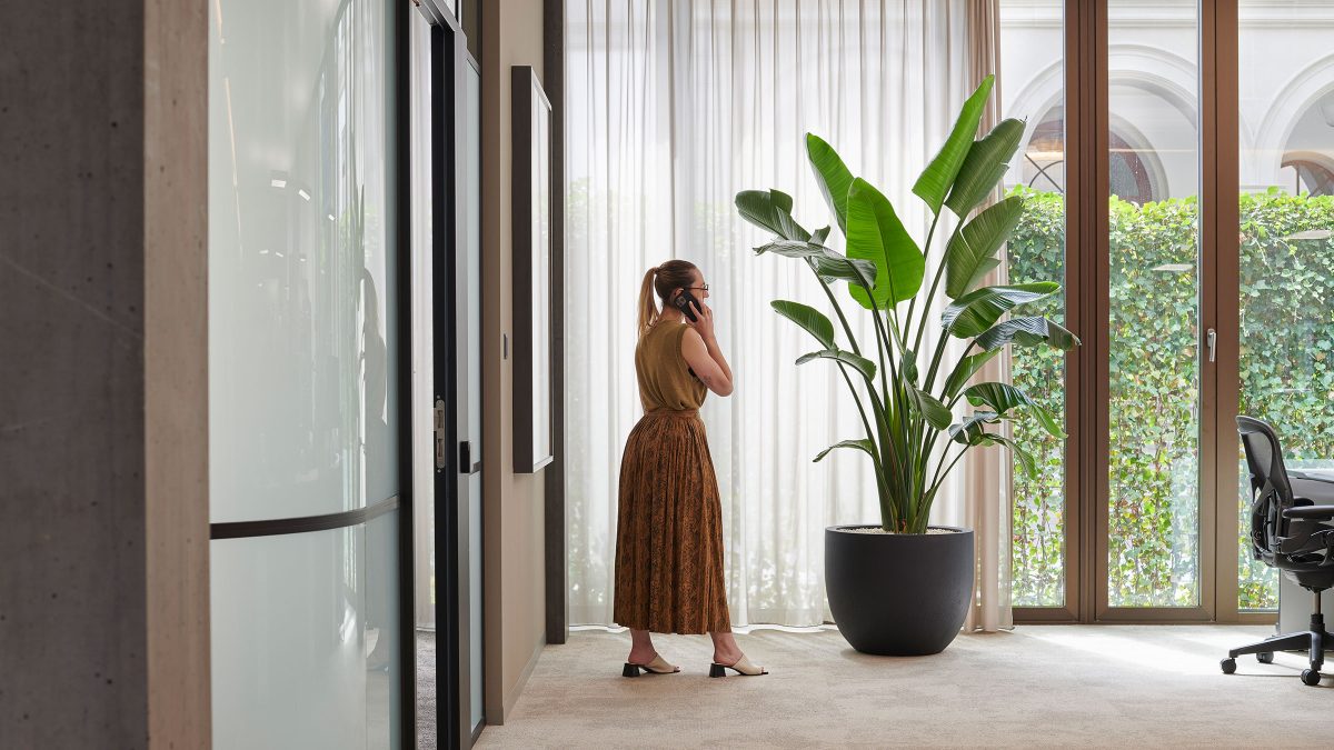 biophilic-design-indoor-plant