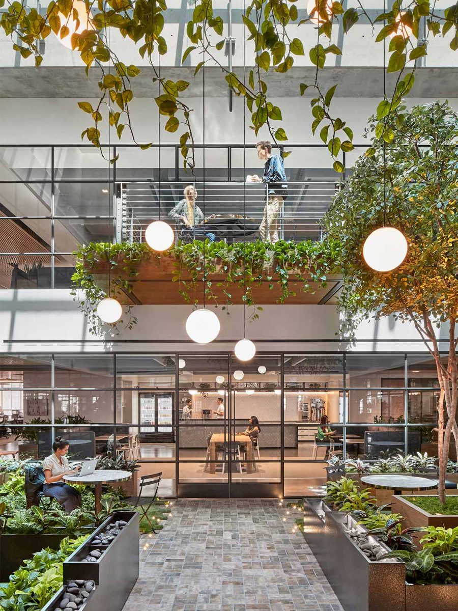 indoor-garden