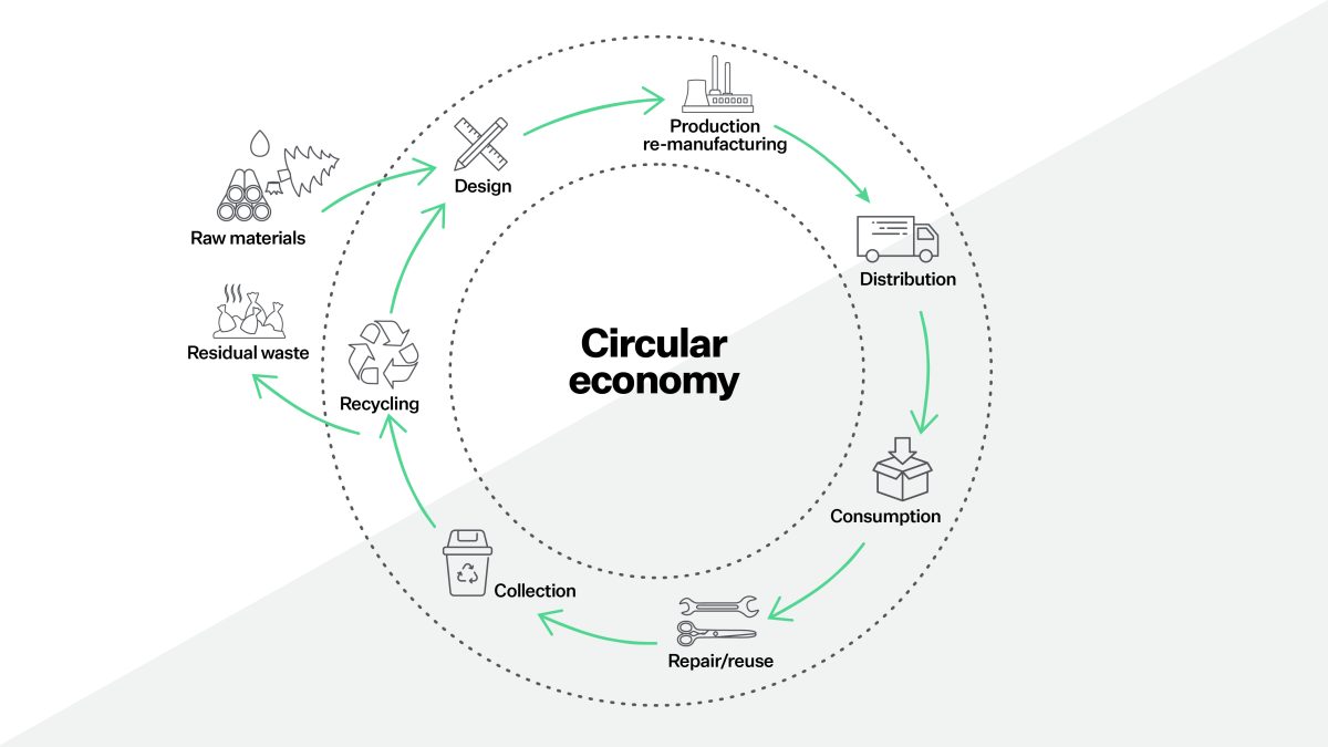 circular-design-graphic