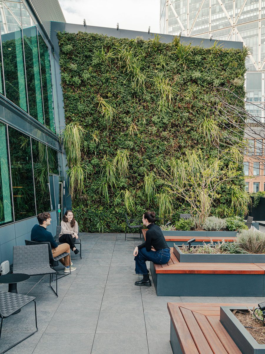 living-wall-on-terrace-employees-sitting