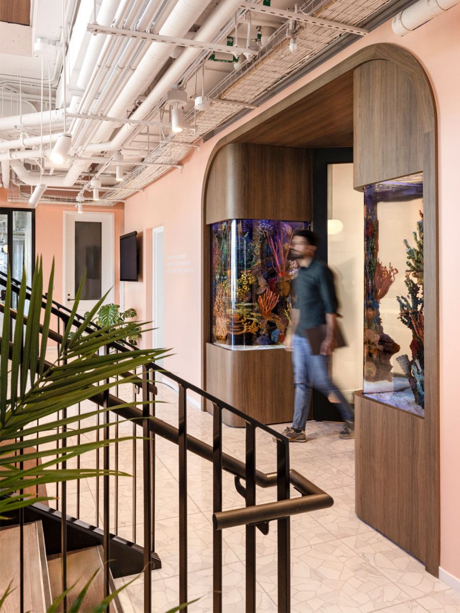 vancouver-workplace-design-brand-experience-fishtanks