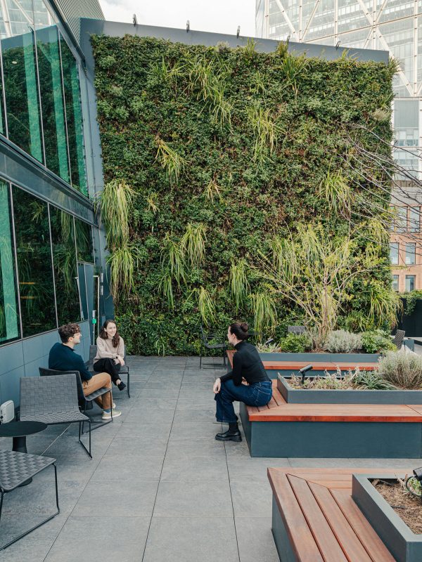 M Moser Wilson Sonsini outdoor terrace