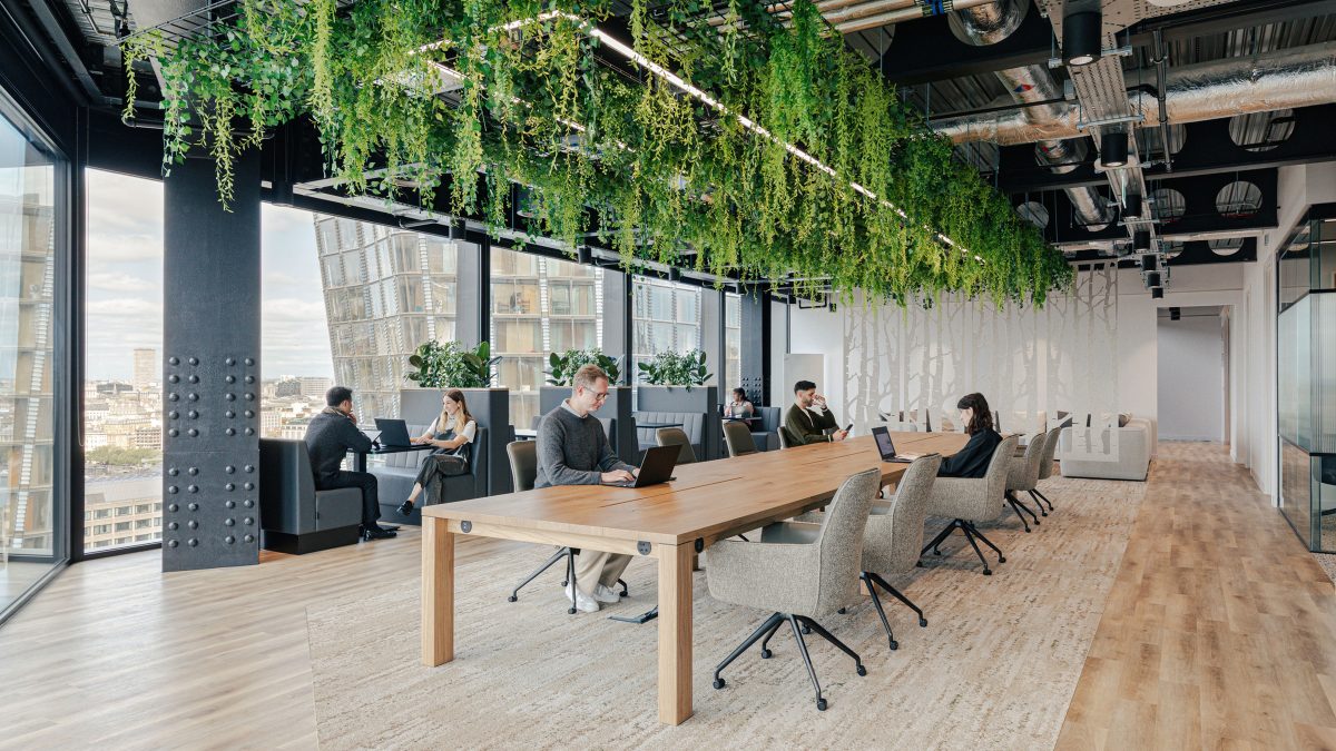 mmoser-workplace-design-services-vancouver-acoustic-strategy-guide-biophilia